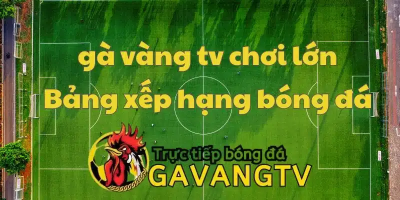 Gà vàng TV chơi lớn cùng BXH bóng đá