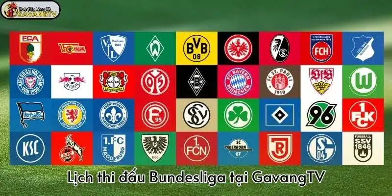 Không bỏ lỡ trận cầu nào tại Gavang TV