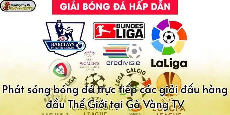GavangTV - Phát sóng bóng đá trực tiếp các giải đấu hàng đầu Thế Giới