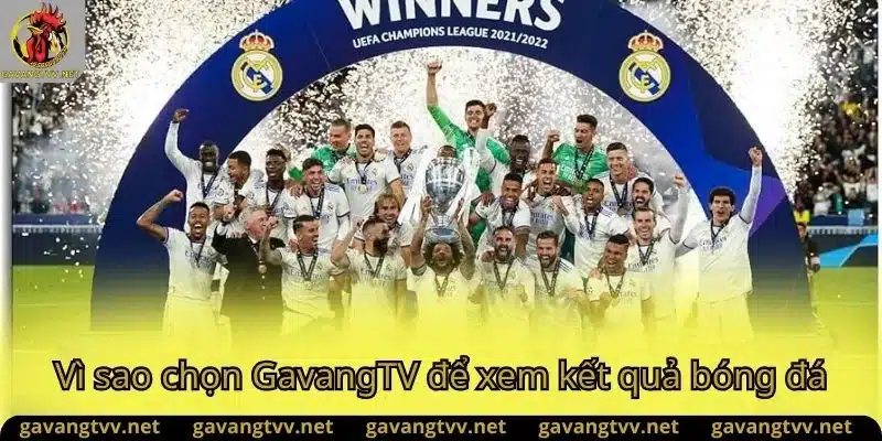 Vì sao chọn Gavang TV để xem kết quả bóng đá