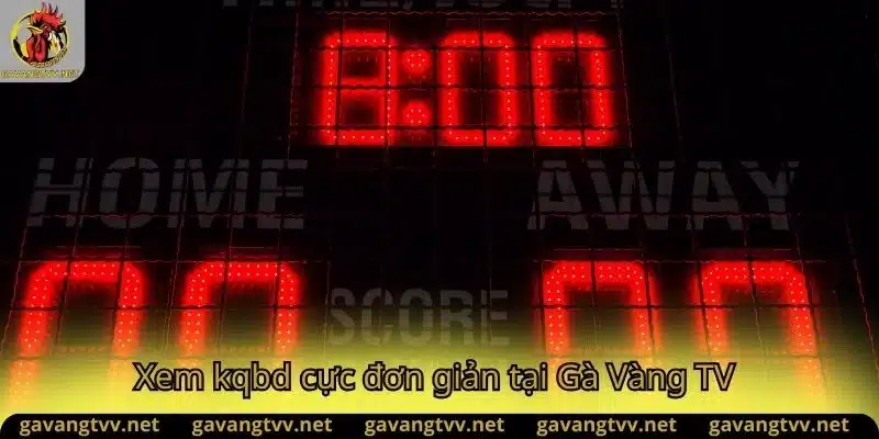 Xem KQBD cực đơn giản tại Gavang TV Link